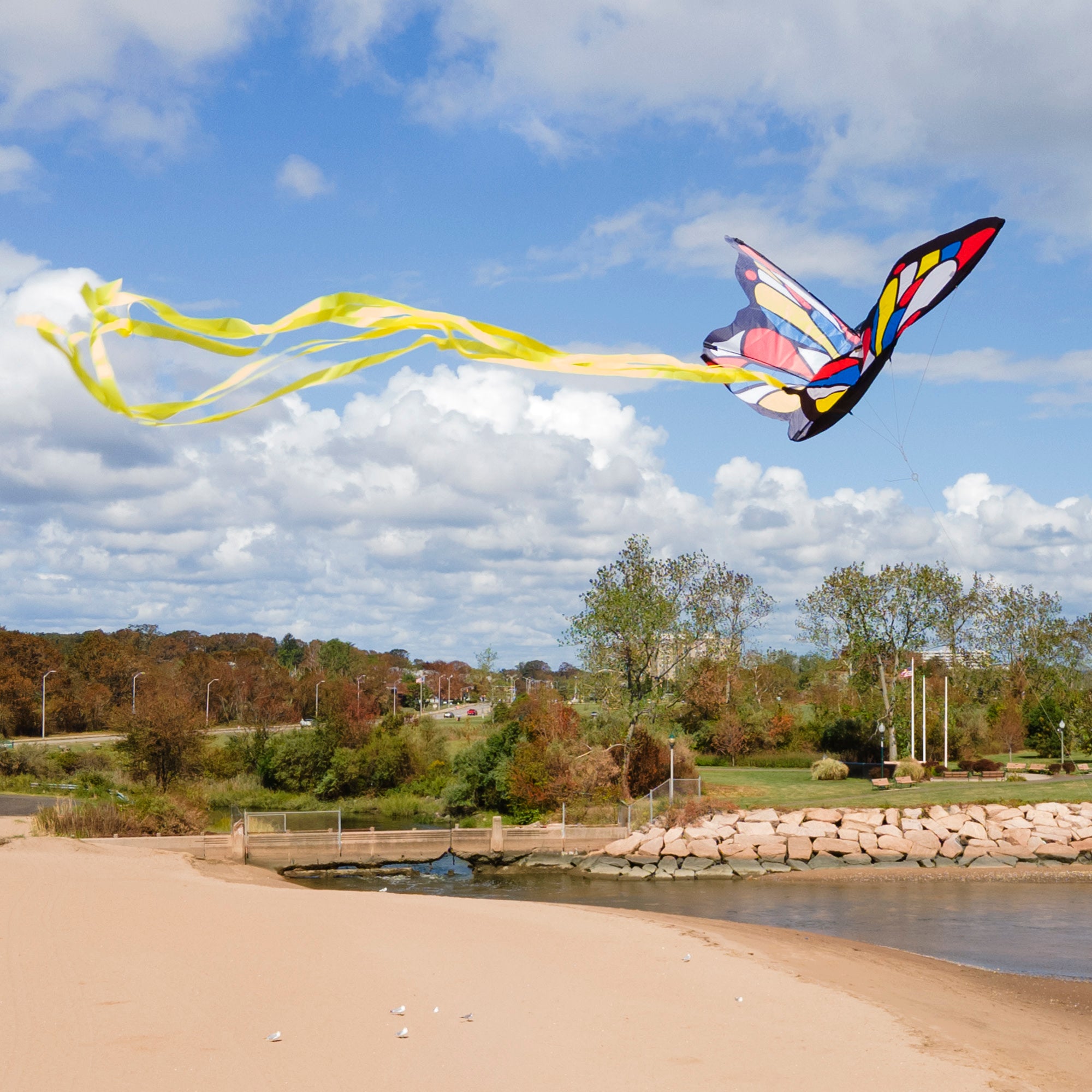 Beautiful Butterfly Kite - Image 9